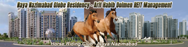 Naya Nazimabad