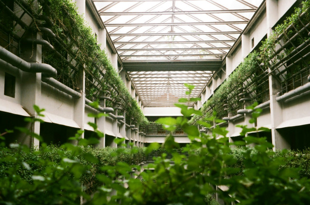 Vertical Farming: Feeding Urban Populations Sustainably