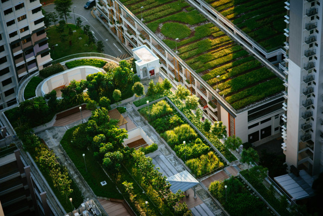 The Benefits of Green Roof Systems in Urban Housing