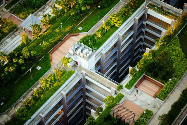 Green Roofing And Waste Recycling With Ngos Like Gul Bahao