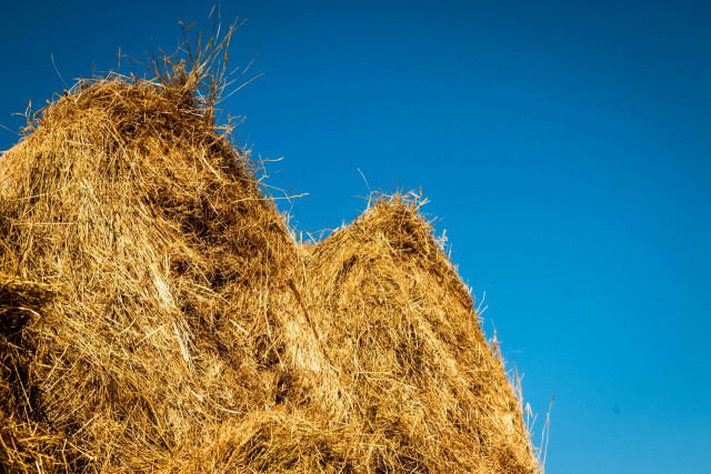 What is Straw Bale Insulation? An Overview of the Sustainable Building Technique