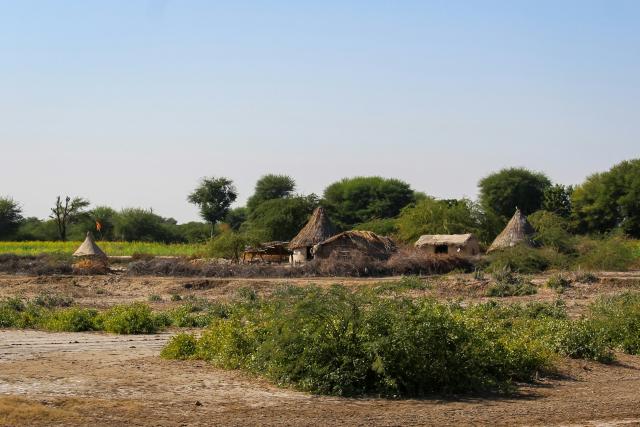 Rural Housing In Sindh: Government Schemes & Ngo Initiatives