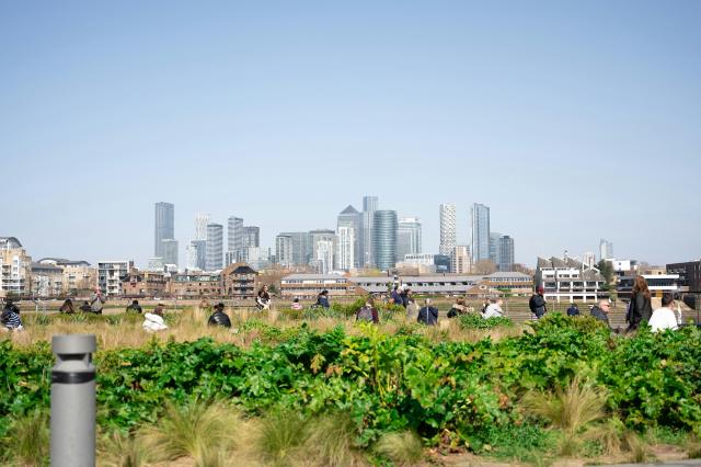 High-Rise Vs. Horizontal Growth: Which Urbanization Model Suits Pakistan?