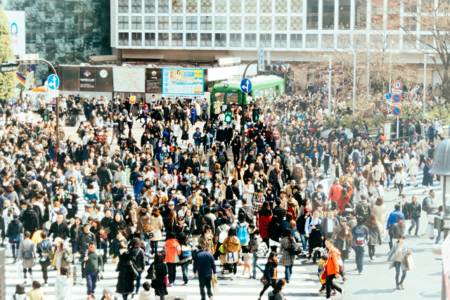 Analyzing the Cost-Burdened Population and Its Impact on Housing Policies