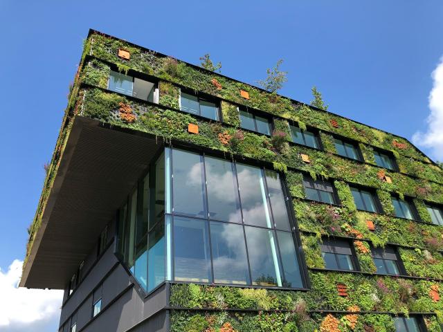 Sustainable