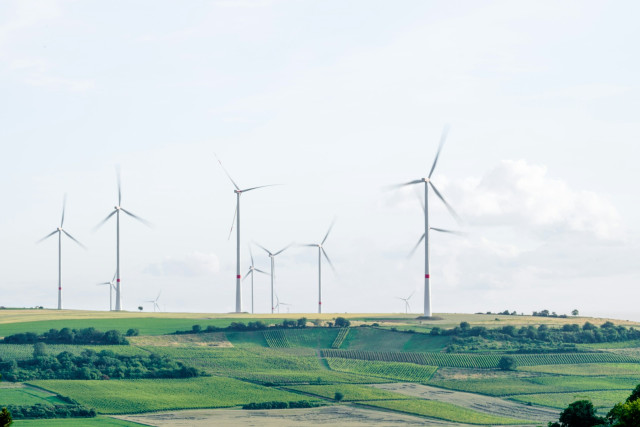 What is Environmental Gentrification: When Green Meets Inequality