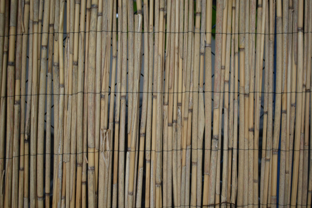 Bamboocrete and Circular Economy: Recycling Bamboo Waste in Construction