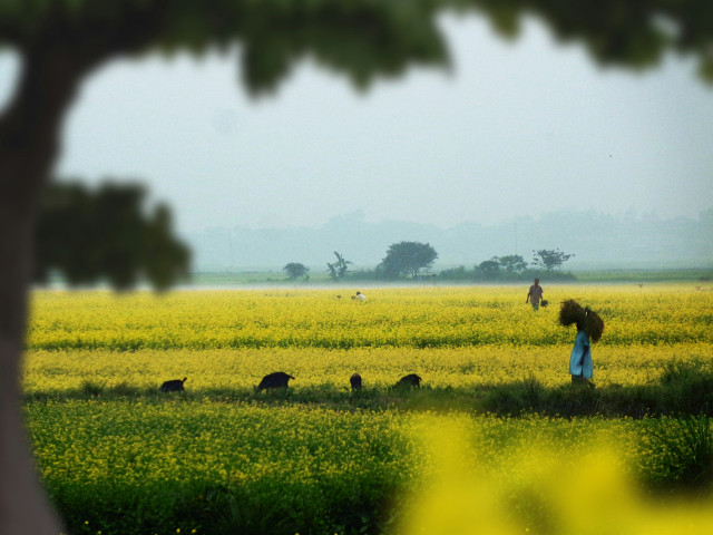 Why Land Registration Reform Could Unlock Affordable Home Finance in Bangladesh