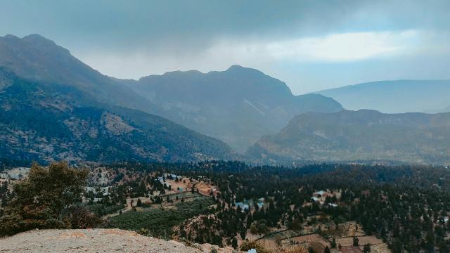 How Cultural Norms Influence Housing Choices In Rural Pakistan