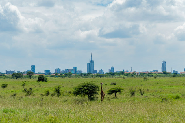 land Acquisition