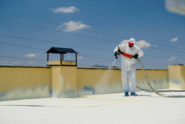 Low-Cost Houses Insulation for Energy Efficiency
