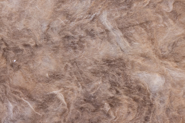 How Sheep Wool Insulation is Emerging as a Sustainable Material