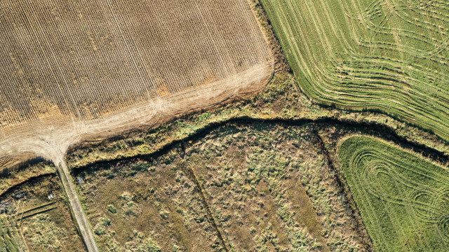 How Land Record Computerization Can Curb Corruption