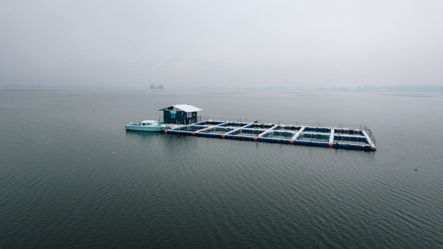 Floating Architecture - Innovative Sustainable Materials