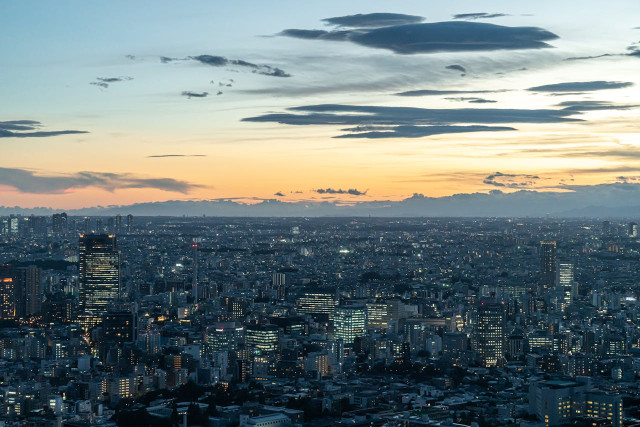 Megacities: The Rise and Challenges of Urban Growth