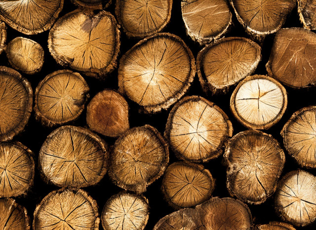 Using Sustainable Wood Products for Eco-Conscious Construction