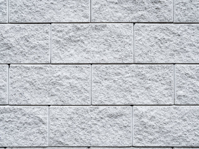 The Rise of Mycelium Bricks in Sustainable Architecture