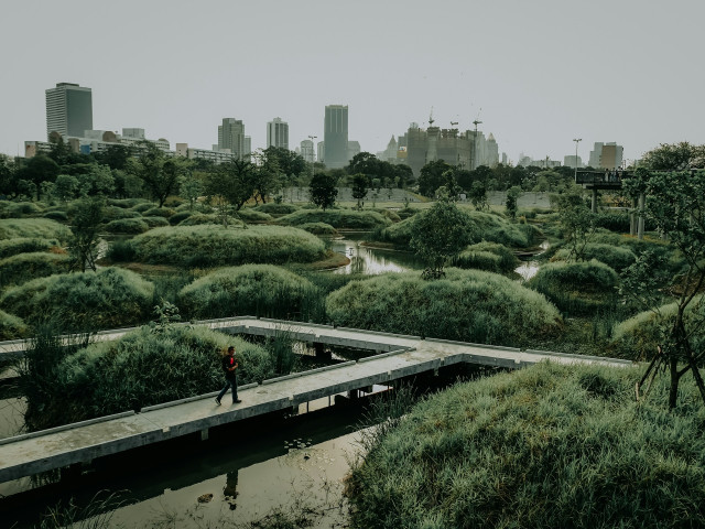 Green Urbanization: Building Sustainable Cities for the Future