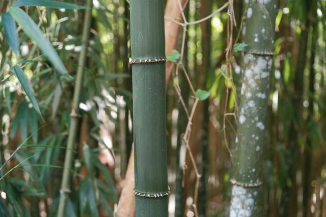 The Future of Sustainable Materials in Affordable Housing Construction