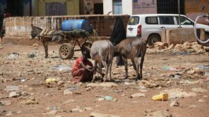 Kibera Slum