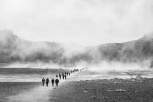 Migration