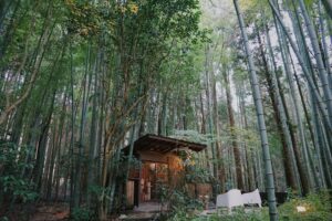 bamboo housing