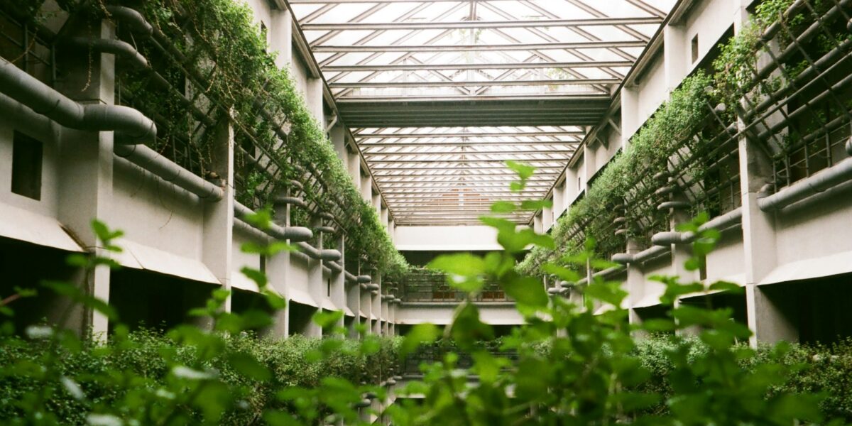 vertical farming