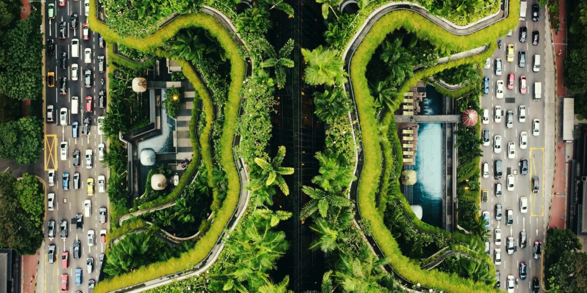 urban ecosystems