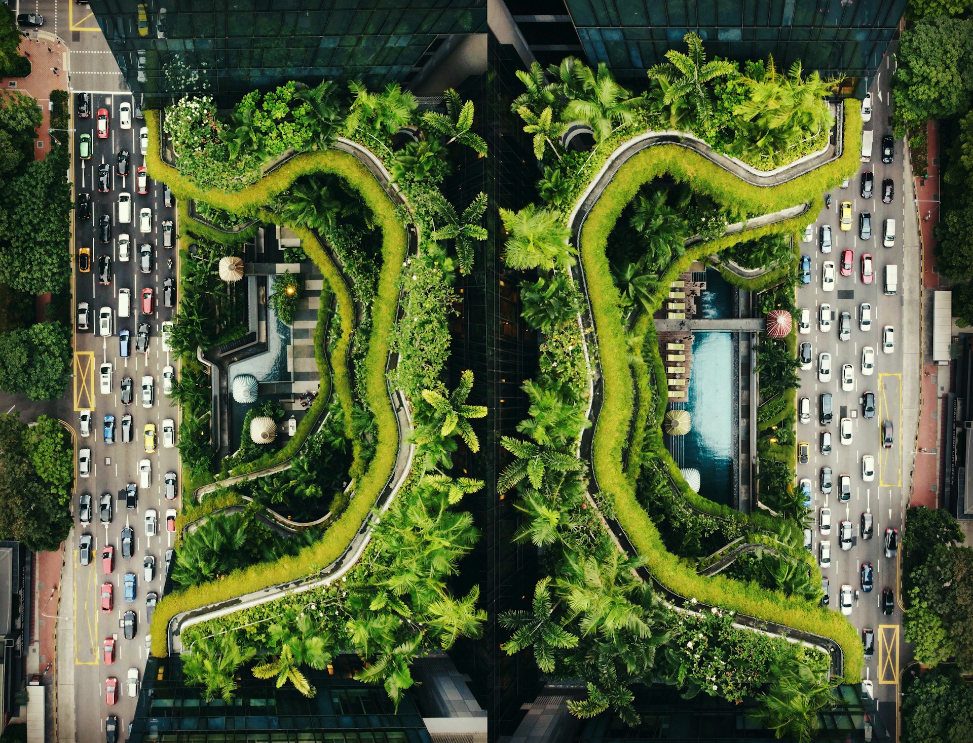 urban ecosystems