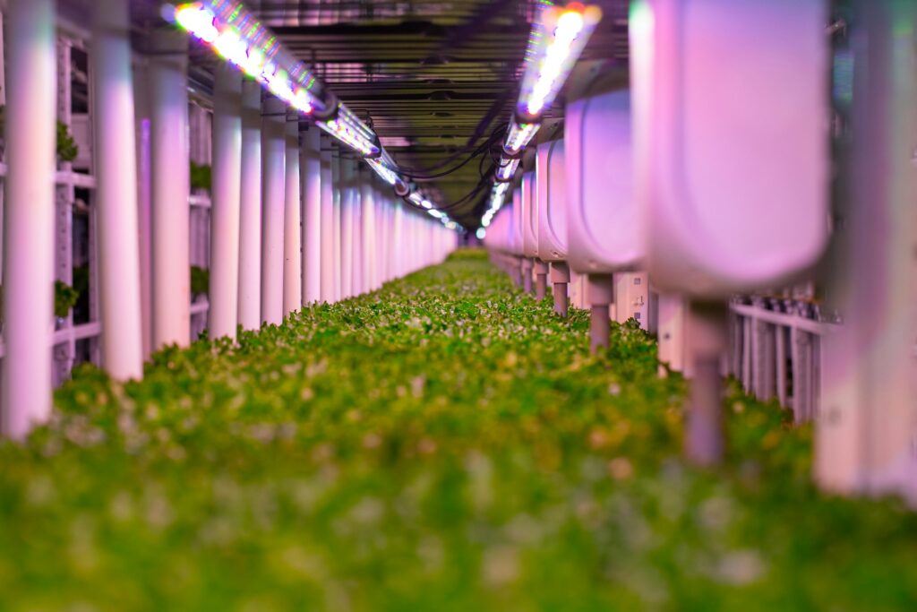 Urban Farming