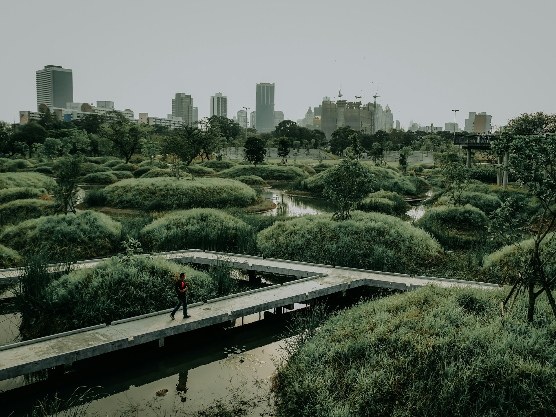 Green Urbanization