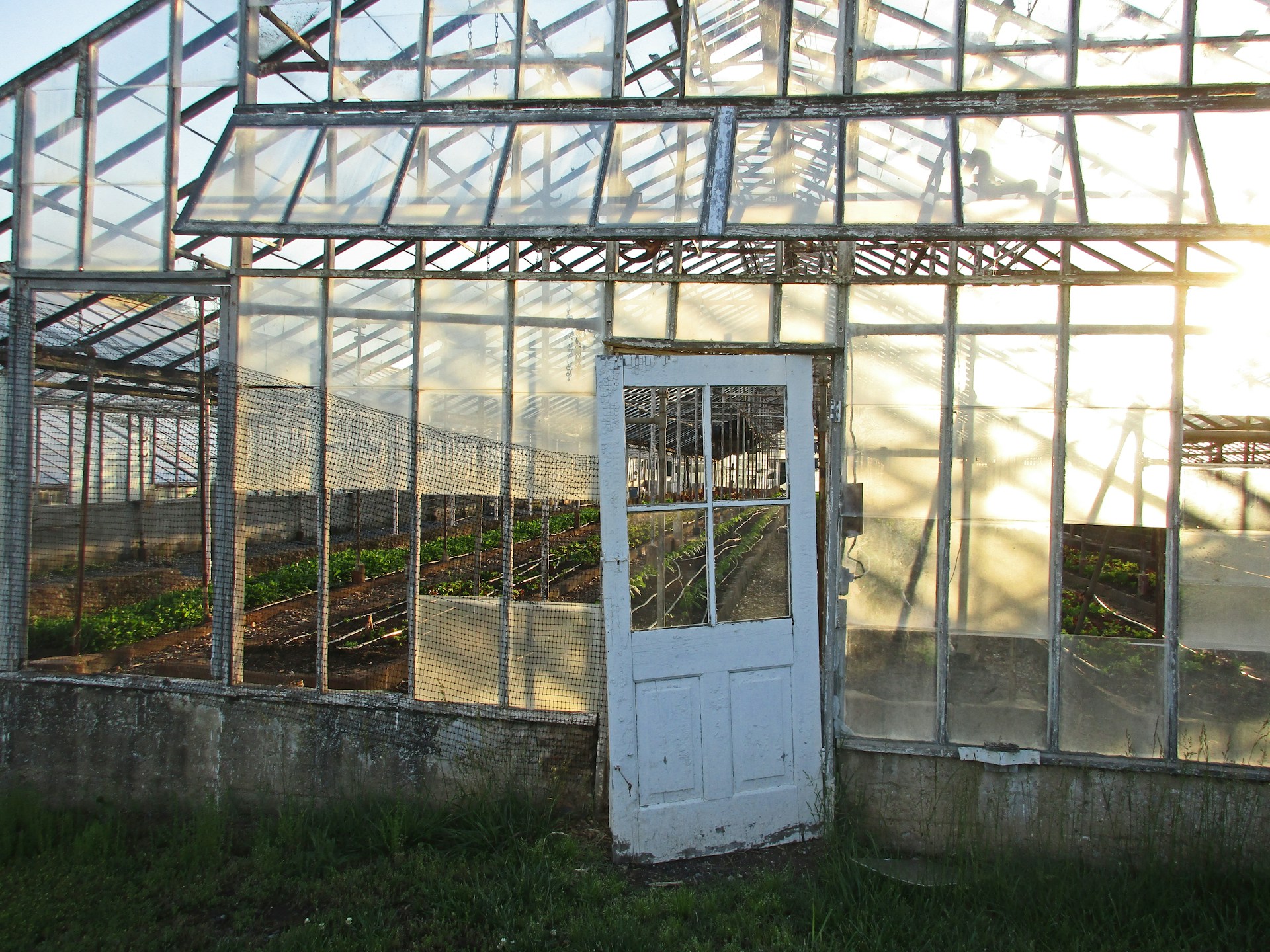 Urban Farming