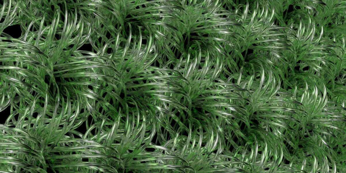 Plant based polymers