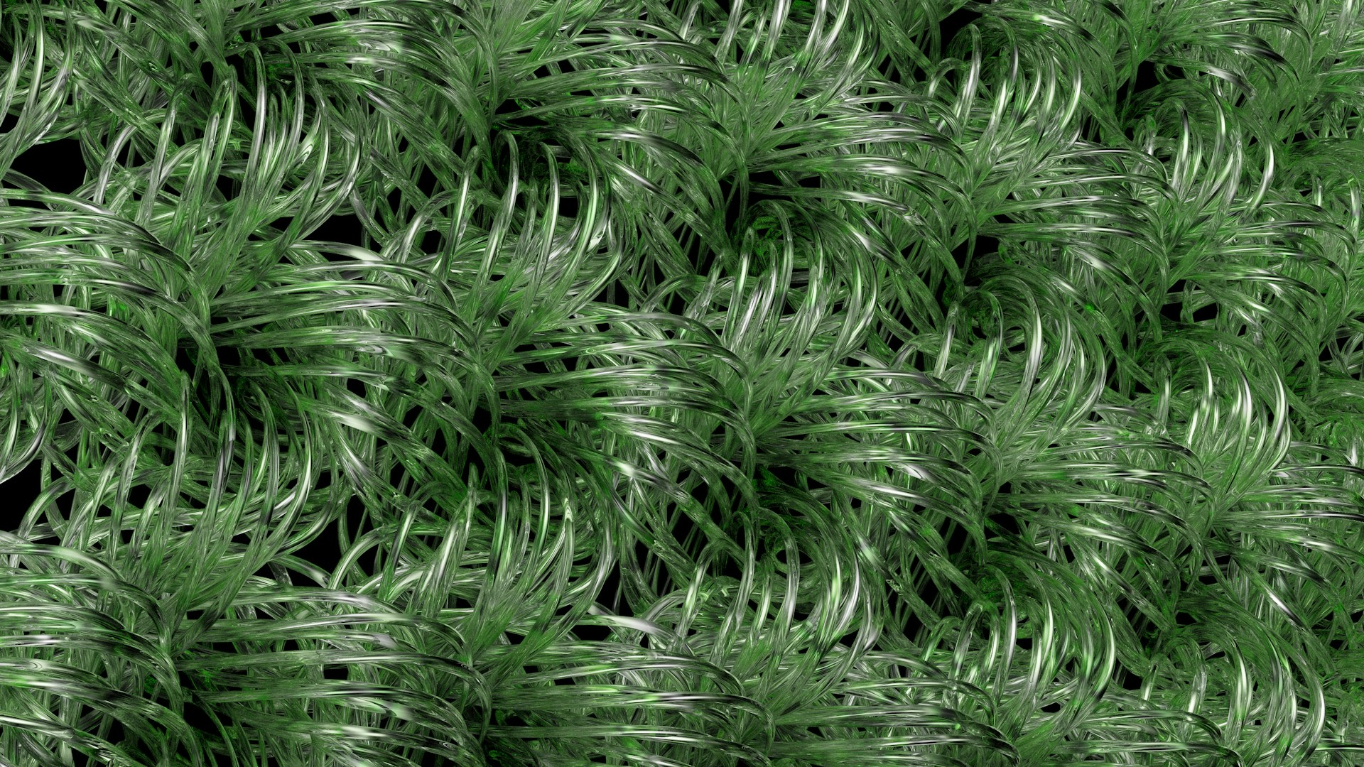 Plant based polymers